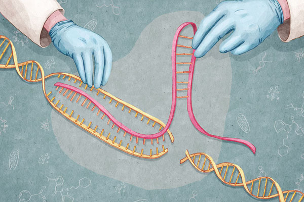 诺奖热门：CRISPR基因编辑系统亮点研究盘点