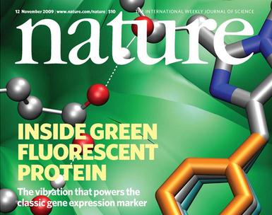 循证医学让《Nature》杂志成为制药业研发风向标