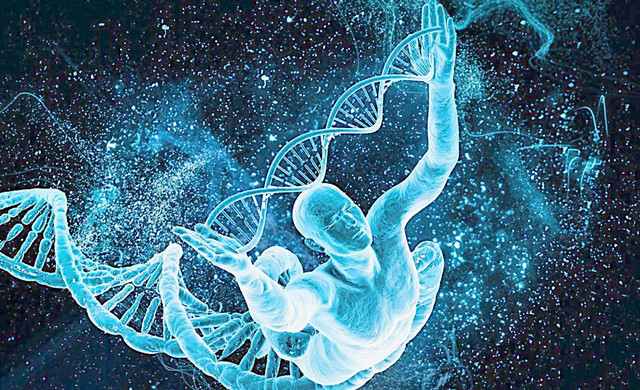 化诺的启示：DNA修复是维护生命健康的根本