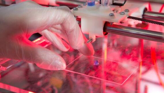 英国科学家在3D打印干细胞技术上获得突破，可能导致医学动物测试需求减少