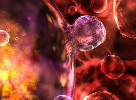 Nat biotech：诱导多功能干细胞分化潜力可比拟胚胎干细胞