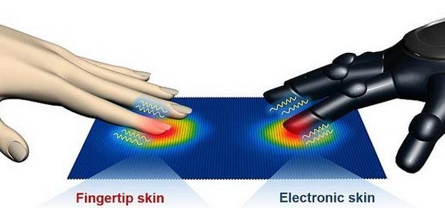 新电子皮肤可同时感知热量和压力变化，有望用于制造假体