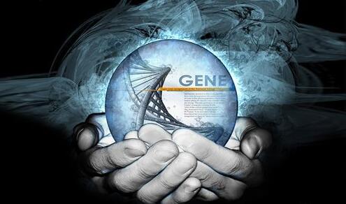 基因检测行业创业情况梳理