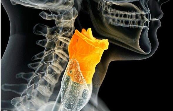 科学家首次培育出人体声带 有望为声带受损患者找回声音
