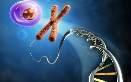 Nature：中丹两国科学家发现肿瘤细胞基因修复机制