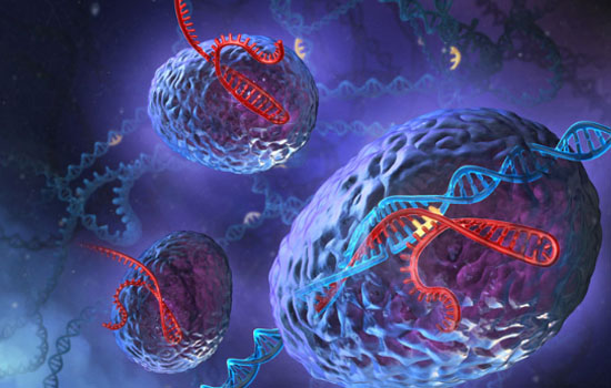 PNAS：CRISPR协助细胞对抗HIV