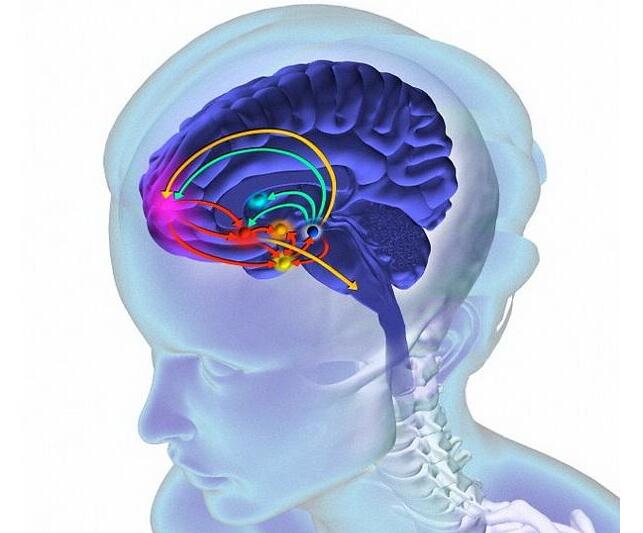 美国神经系统科学家大脑植入电极，恢复记忆或实现