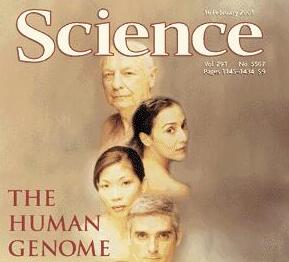 《自然》展望2016年11大领域 剪切基因和做梦基因受关注