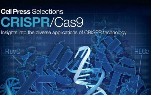 北京中医药大学：用CRISPR介导基因编辑miR-155用于治疗类风湿性关节炎