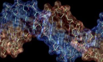 见过这样的U盘吗？科学家把信息存储在试管中