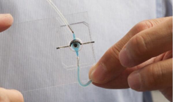 大学生开发出带3D打印眼睑的“芯片上的眼睛”