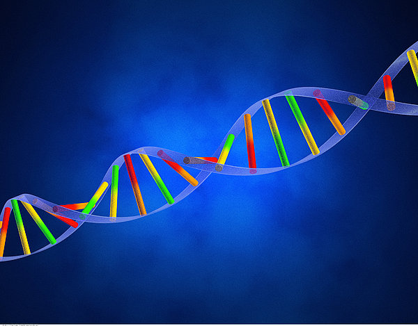 PNAS刊发北京大学团队“植入前胚胎遗传学诊断新方法”