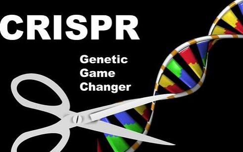 谁发明了基因编辑工具CRISPR-Cas9？
