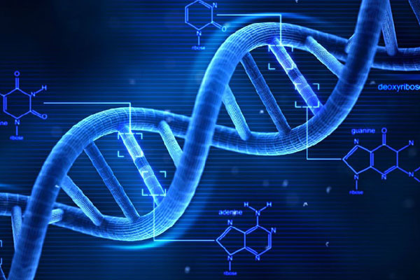 从基因到元件，CRISPR再升级：用于筛查与肿瘤相关的增强子