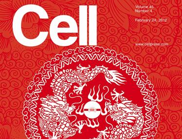 2015年度入选《Cell》热门医学领域的五篇论文及五家机构揭晓