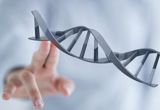 Nature Biotechnology：实现前所未有的CRISPR基因编辑成功率