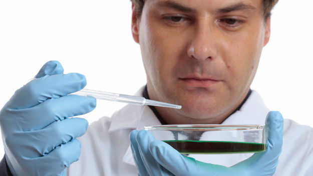 德国科学家培育出实验室级别多能干细胞