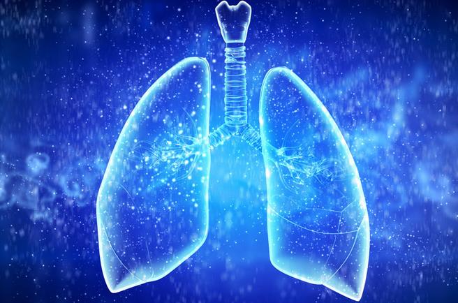 慢性阻塞性肺病（COPD）转换疗法的研究进展