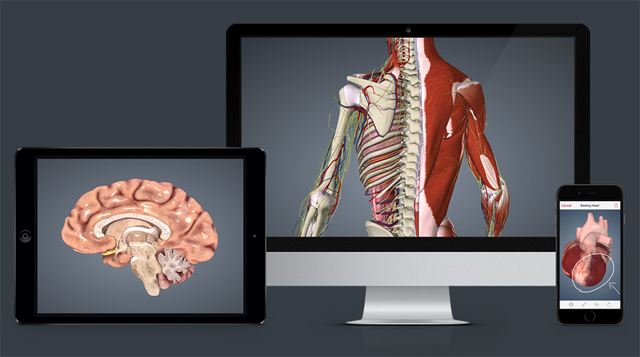 BioDigital：被评为“谷歌地球遇上人类身体”的在线3D人体结构模拟平台