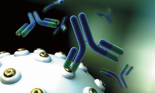 国内抗体药物研究报告