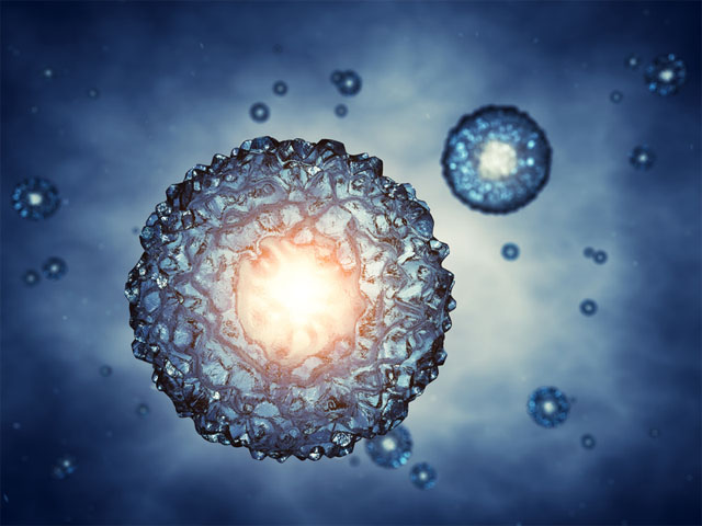 PNAS：“杀不死”的癌症干细胞 低氧环境下竟然还能存活！