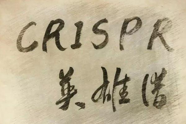 CRISPR英雄谱：首份完整精译本
