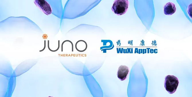 药明康德与Juno成立中国合资公司，主攻CAR-T免疫治疗