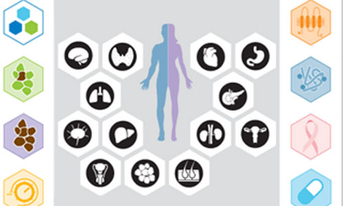 MSB：科学家发布最新版本的人类蛋白质图谱