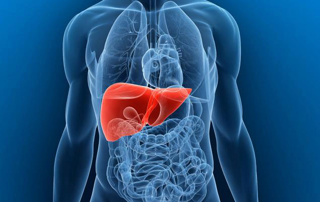 研究人员发现肝细胞癌诊断的新型生物标志物KHK-A