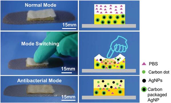 南昌大学科学家研发出可3D打印的智能抗菌材料