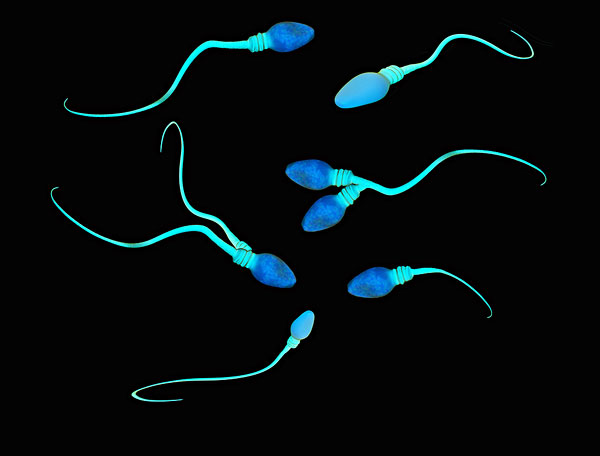 Seem Kit：想要宝宝，这款产品帮你在家用手机测精子