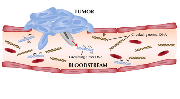 ctDNA市场火爆，Boreal Genomics这家公司优势在哪？