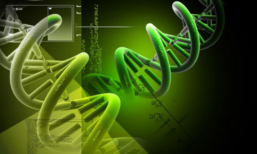 华人学者Nature Methods发布单细胞测序重要工具