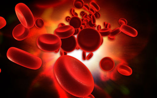 科学家发现培养稀有血液干细胞的新方法