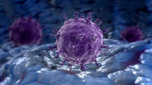 研究首次揭示病毒识别和攻击人类宿主细胞的生物结构