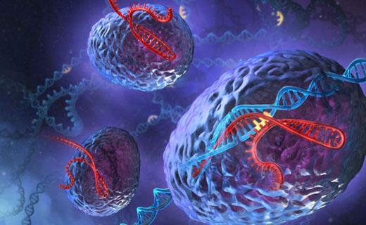 中国科学家开发替代Cas9的基因编辑新技术