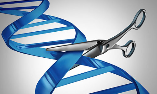 Science：CRISPR技术新应用，快速鉴别基因变异