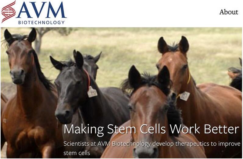 生物技术公司AVM Biotech融资1750万美元，用于干细胞输送技术研发