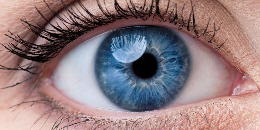 日本科学家首次利用皮肤细胞恢复病人视力