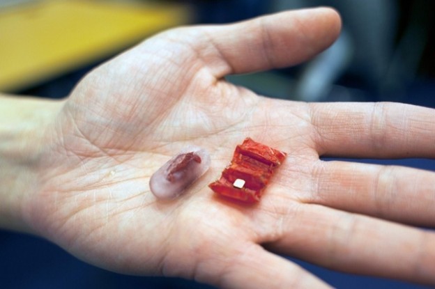 MIT研发了一款可食用机器人，能移除胃部异物