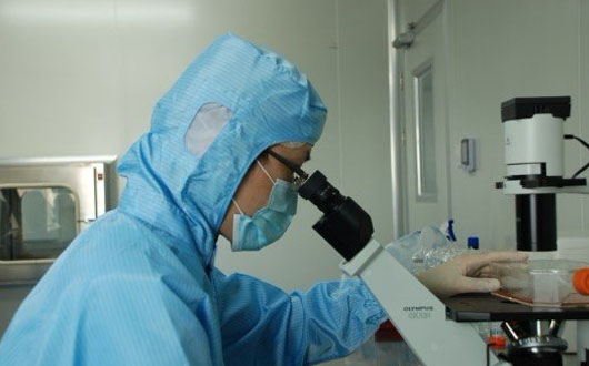 广东省卫计委发文：干细胞、自体免疫细胞治疗技术按照临床研究管理，不得直接应用于临床，不得向受试者收取临床研究费用