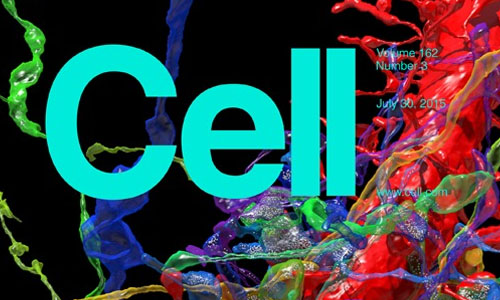 Cell：首次鉴定出胰腺癌的潜在治疗靶标