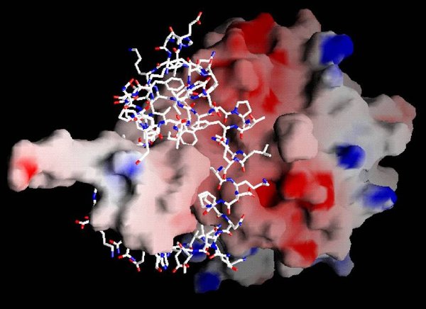 清华研究出蛋白质镜像DNA拷贝，或能有效对抗病毒