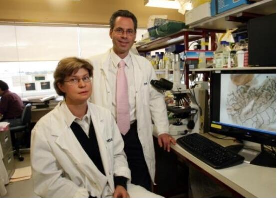澳研究发现抑基因突变新药，有助女性预防乳癌