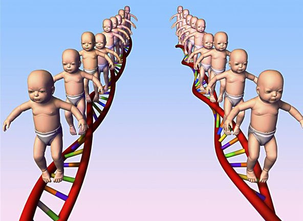研究发现4个基因主导人类胚胎早期变化