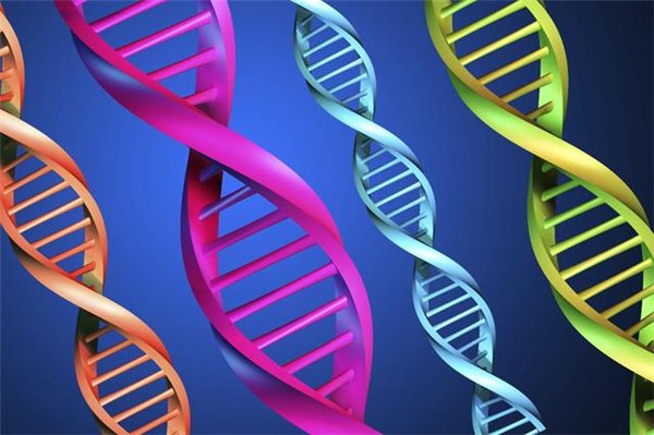 4篇Nature子刊：表观遗传学分析将可应用于临床，指导癌症诊断和个性化医疗