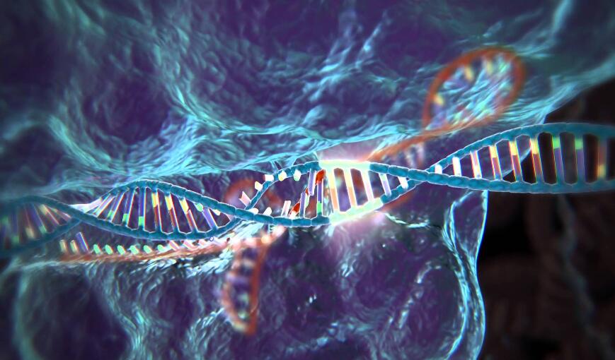 基因编辑公司CRISPR Therapeutics完成3800万美元B轮融资 