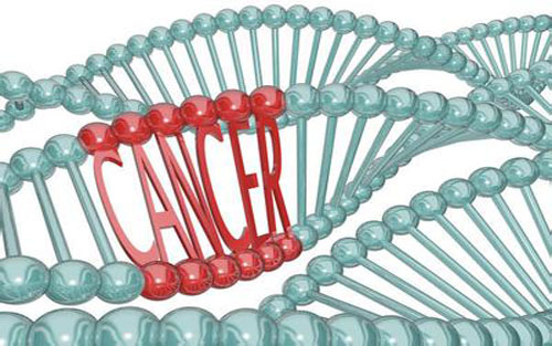 Cell：大数据方法帮助开发更精准的抗癌药物