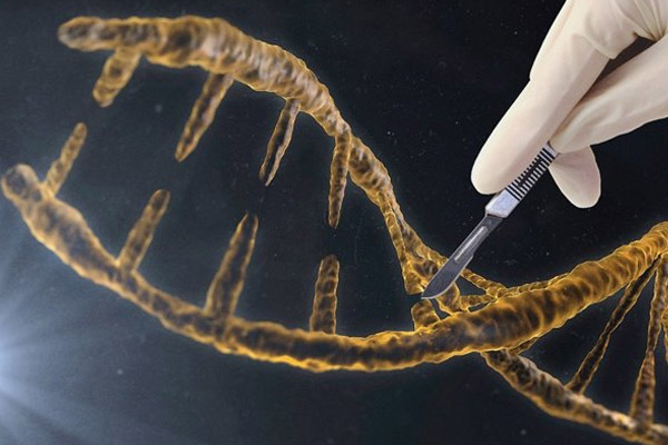 中国科学家利用CRISPR成功修复β-地贫缺陷基因，有望实现自体移植