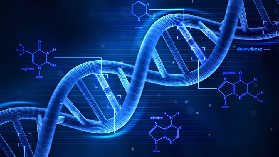 DNA可作超高效纳米机器引擎，能检测病毒细菌乃至金属